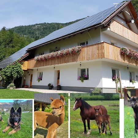 Domacija Loncnar- Apartment Bohinji-tó Kültér fotó