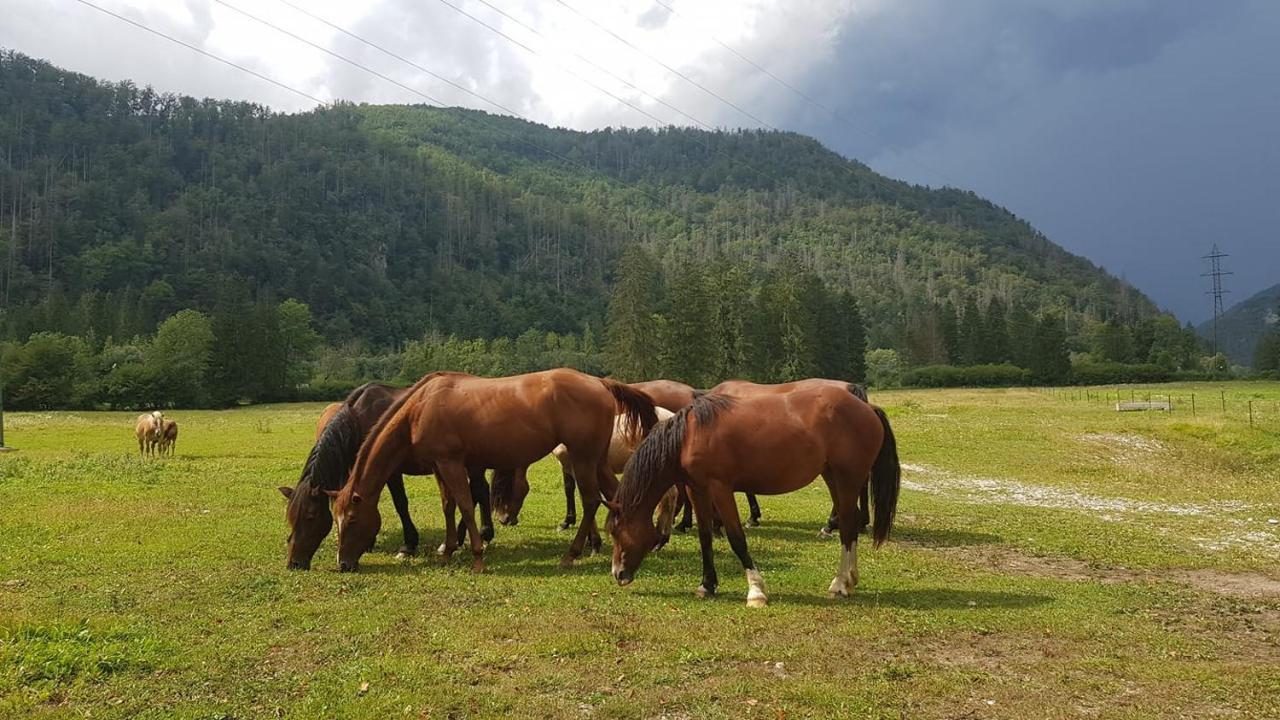 Domacija Loncnar- Apartment Bohinji-tó Kültér fotó