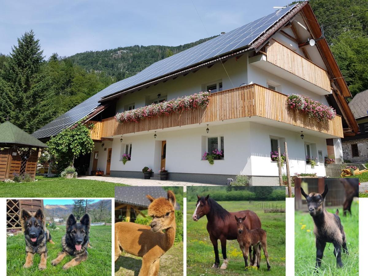 Domacija Loncnar- Apartment Bohinji-tó Kültér fotó